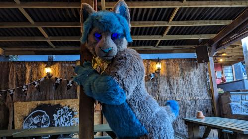 PXL 20241019 131430188