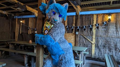 PXL 20241019 131508886