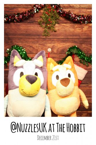 2024-12-21-15-32-15 pibooth