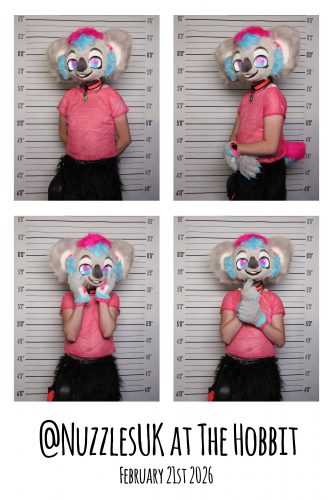 2026-02-21-13-13-12 pibooth