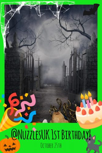 2025-10-25-15-00-26 pibooth