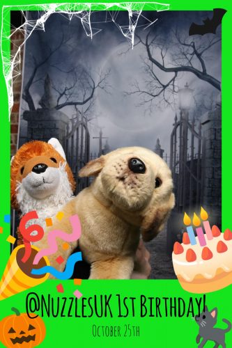 2025-10-25-15-01-22 pibooth