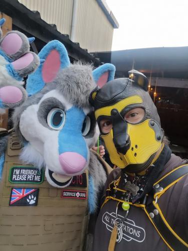 photo_2024-10-19_22-51-54