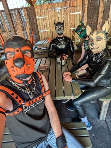 photo_2024-10-20_09-02-05